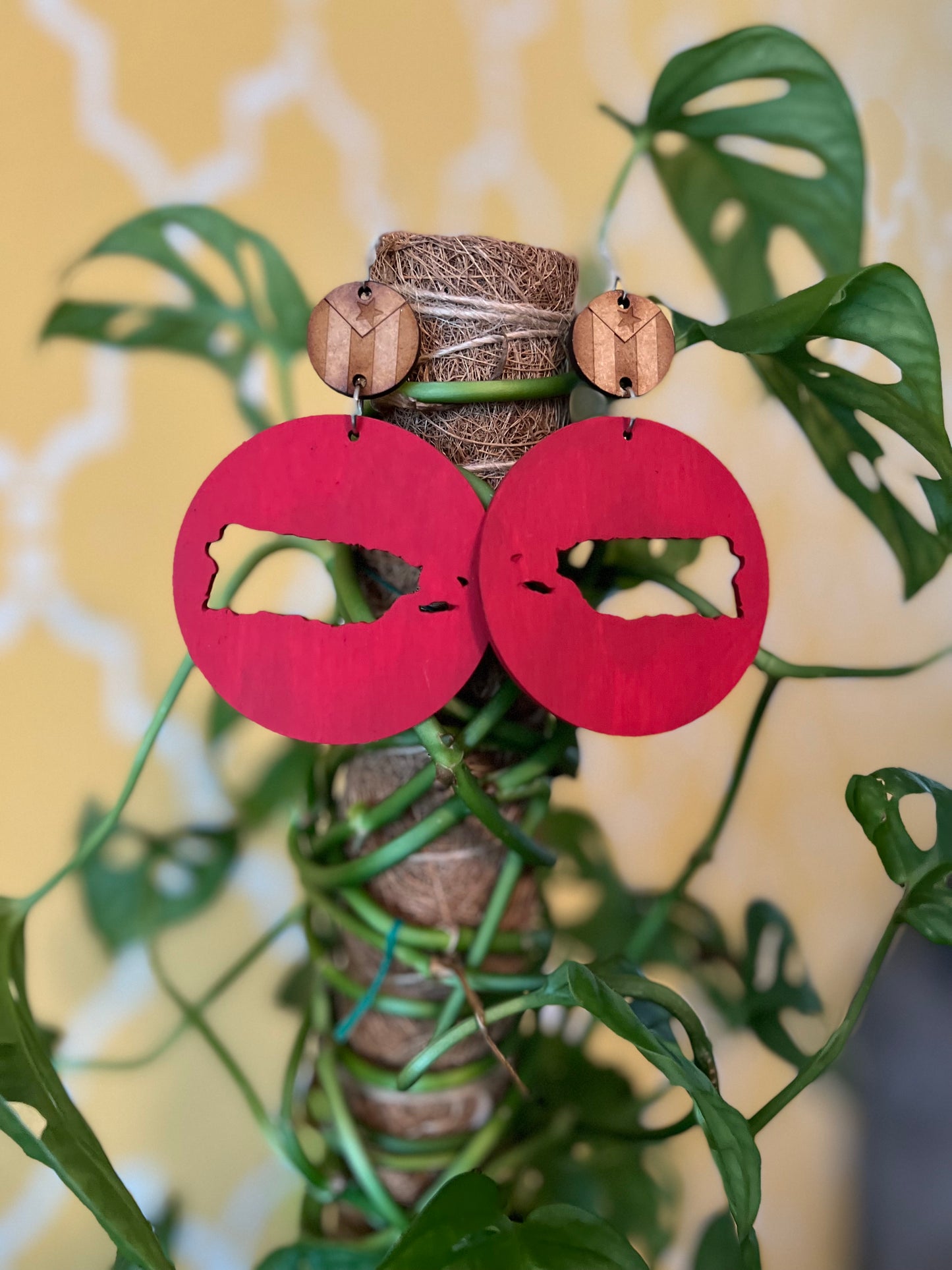 My Dear Island/ Mi Isla Querida Earrings