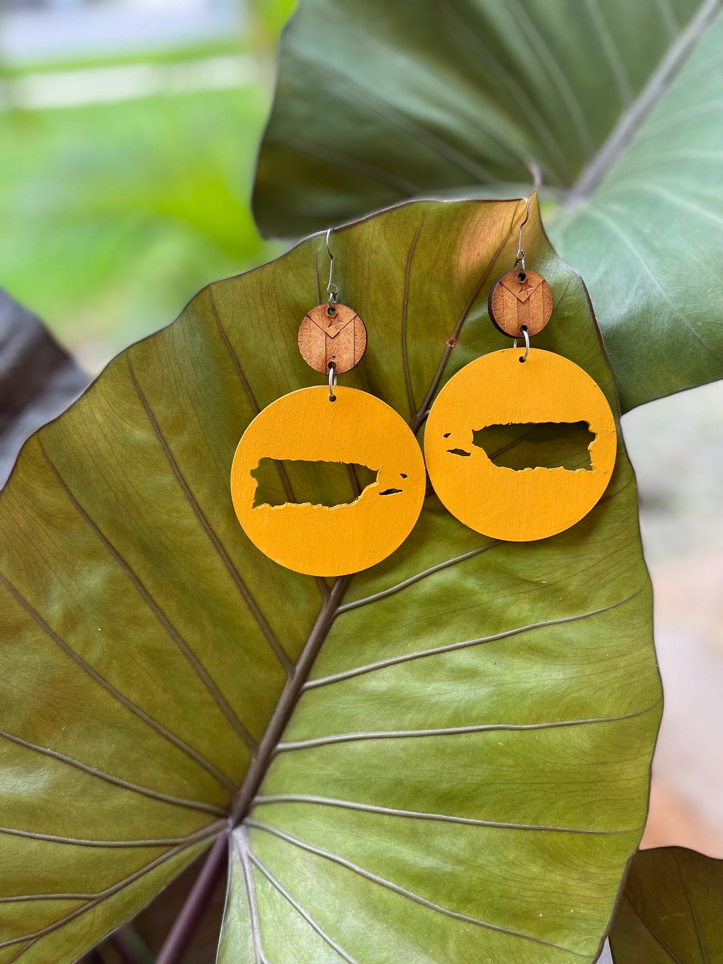 My Dear Island/ Mi Isla Querida Earrings